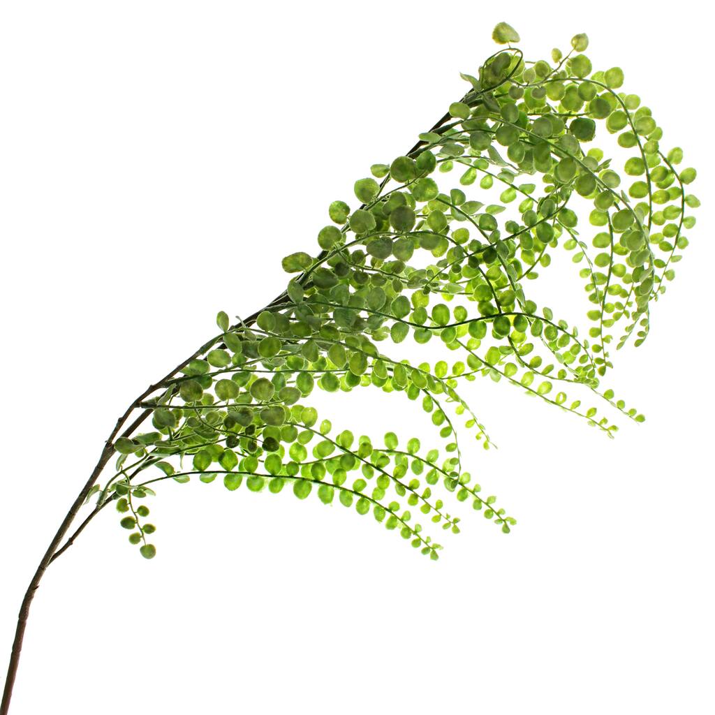 10263117.jpg img